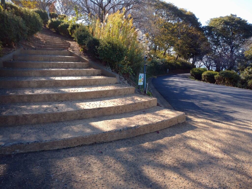 <img src="photo.jpg" alt="竜王山公園の山頂へ続く階段の写真">