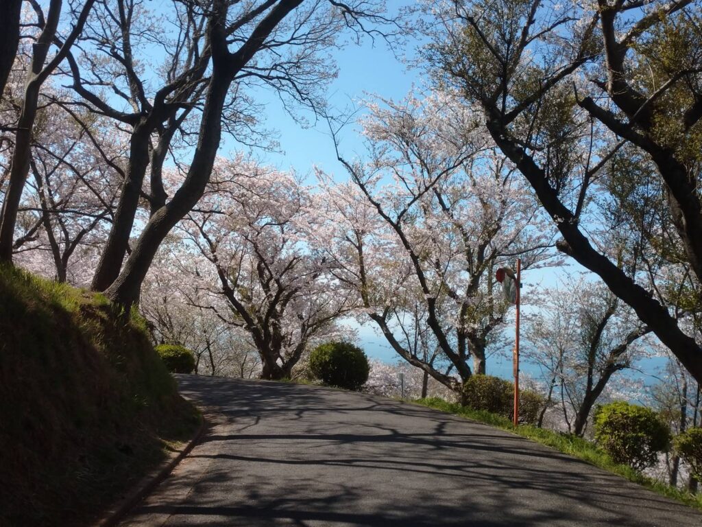<img src="photo.jpg" alt="竜王山桜の写真">