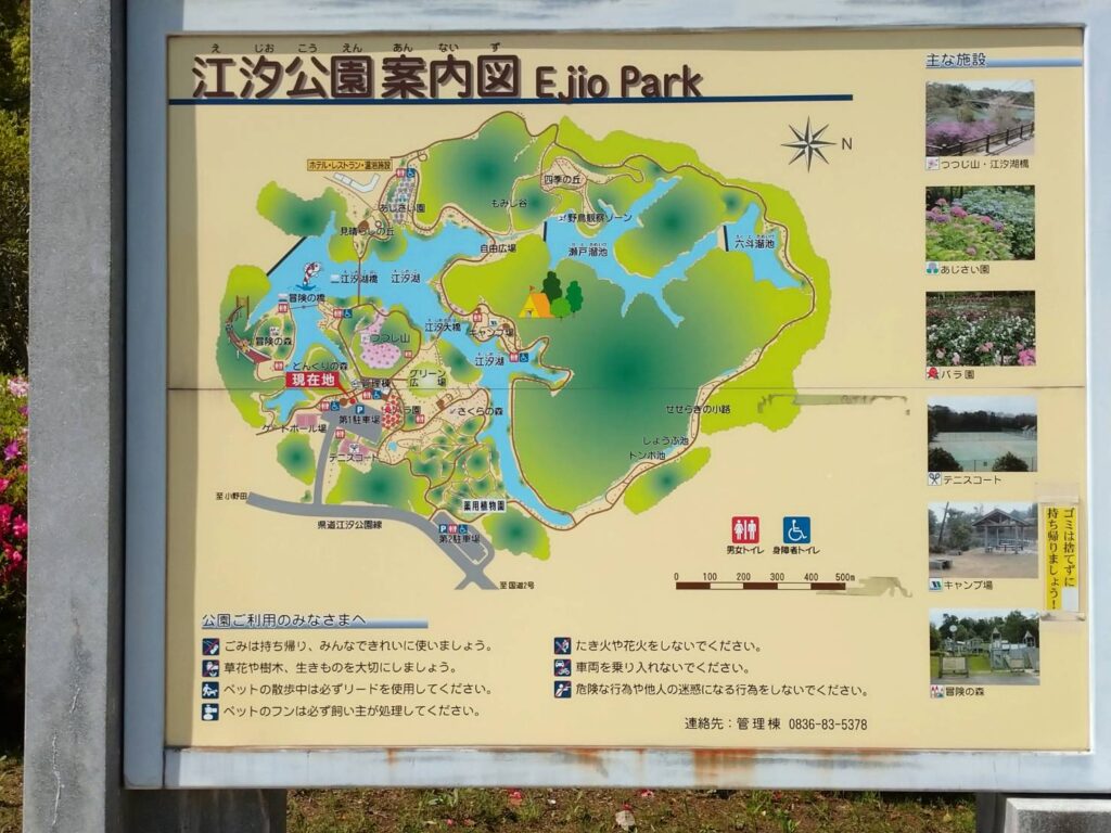 <img src="photo.jpg" alt="江汐公園の写真">
