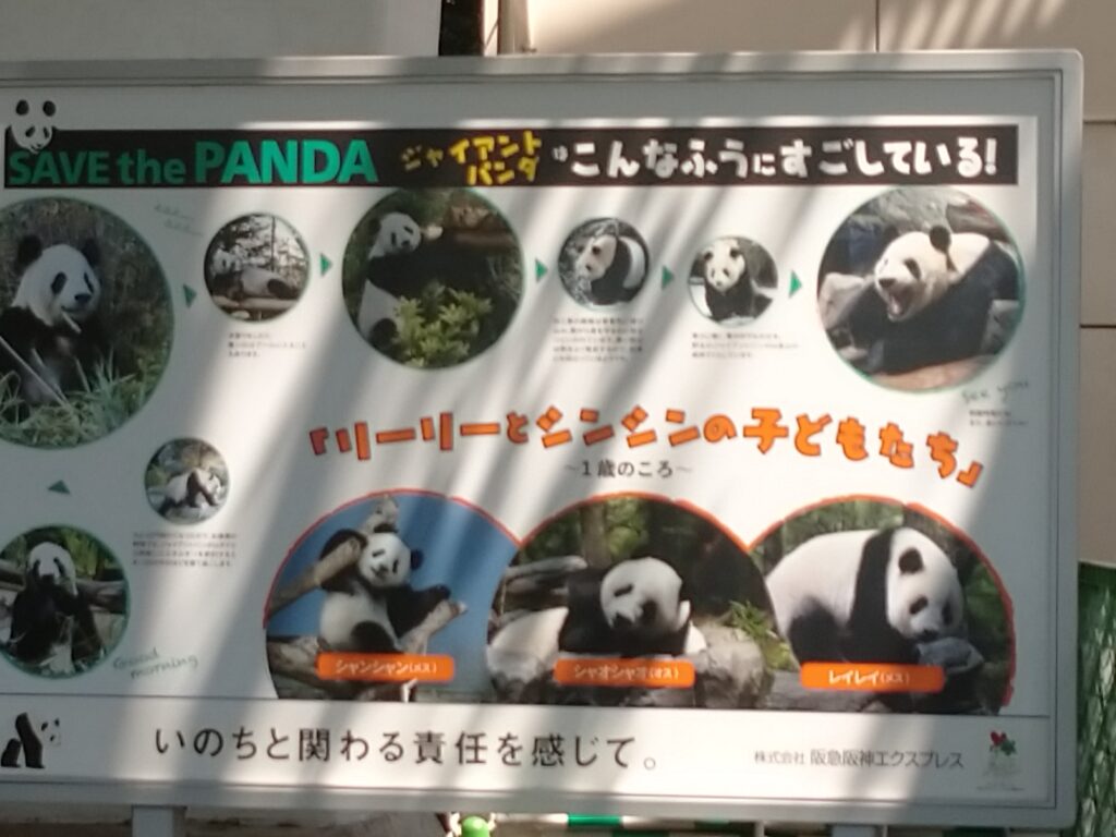 <img src="photo.jpg" alt="ueno動物園のイメージの写真">